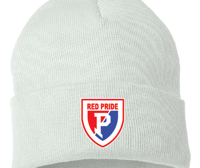 Plainfield Beanie Discount