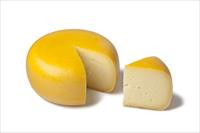 Gouda Cheese Supply